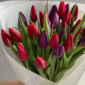 Букет тюльпанов красные и фиолетовые