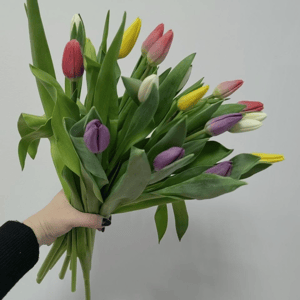 Букет «Тюльпан микс 19»