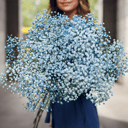 Голубая гипсофила 9 штук