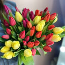Букет "Микс тюльпанов 51 шт"