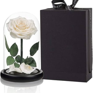 Композиция «Стеклянная ваза с куполом и высокой белой розой»