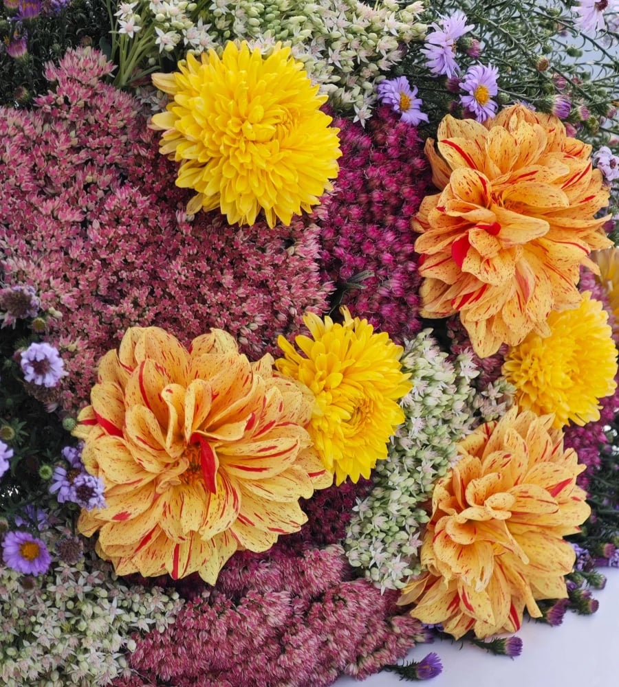 Flower delivery in Vienna Austria