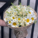 Букет «Природа» из роз и ромашек