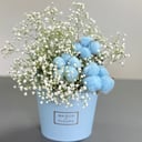 Коробка с цветами «Гипсофила с хлопком»