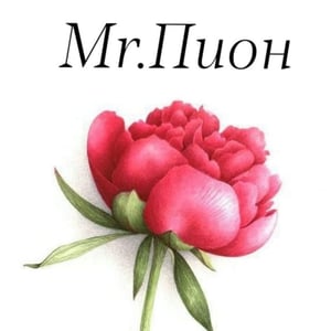 цветочный салон Mr.Пион