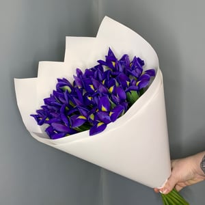 Букет «Ирисы 19»