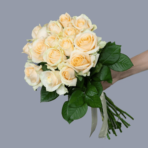 Букет из 15 кремовых роз под ленту