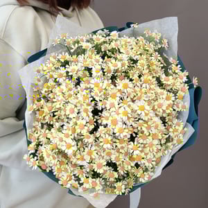 Букет «Солнечные ромашки»