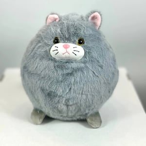 Кот Пусик