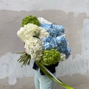 Гортензии под ленту в микс букете