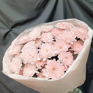 Красивый букет из 5 хризантем