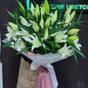 Салон цветов «Каталея»