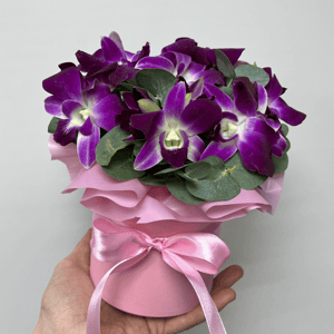 Орхидея Дендробиум пурпурная в коробке