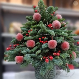 Композиция «Новогодняя красавица»