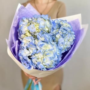 Небесно-голубые гортензии в букете