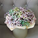 Шляпная коробка из радужной гипсофилы