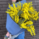 Букет из пушистой мимозы