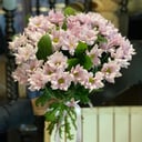 Букет «Душенька» из хризантем