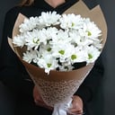 Букет хризантем