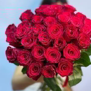 Букет «Роза красная»