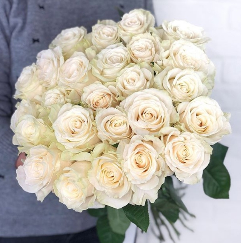 Монобукет из роз Мондиаль 25шт