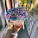 Коробка с цветами «Композиция Гипсофилы»