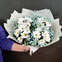 Букет «Торжество» из хризантем и гипсофил