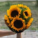Букет «Солнцестояние» из подсолнухов