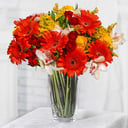 Бизнес-букет из роз и гербер