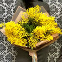 Букет мимозы