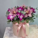 Шляпная коробка с цветами «Орхидея Цимбидиум и Дендробиум в коробке»