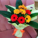 Букет «Герберы»