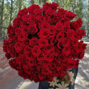 Букет из 101 красной розы