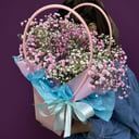 Коробка с цветами «Гипсофила»