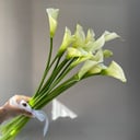 Каллы букет 15 шт