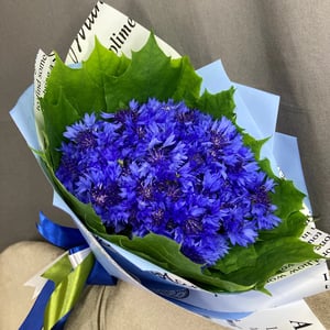 Васильки букет