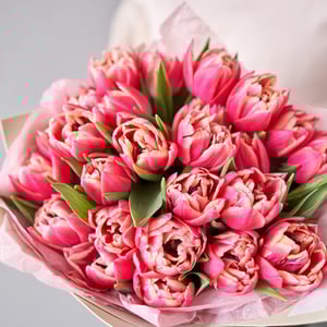 Букет «Тюльпан красный 25шт»