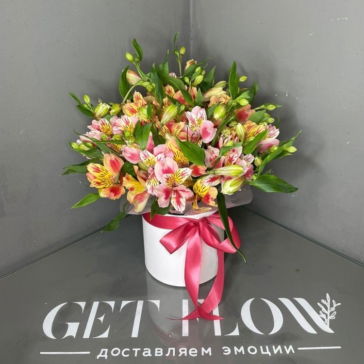 Альстромерия в шляпной коробке