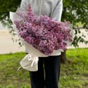 Букет сирени