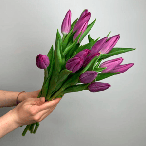 Букет «Фиолетовые тюльпаны под ленту 15 шт»