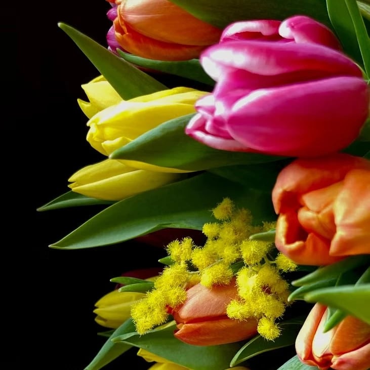 Fiori per la festa della donna