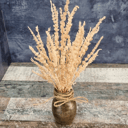 Розовая лаванда