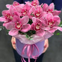 Шляпная коробка с цветами «Орхидея»