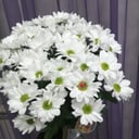 Букет «Ромашковый взгляд» из хризантем