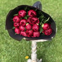 Букет из 15 красных пионов