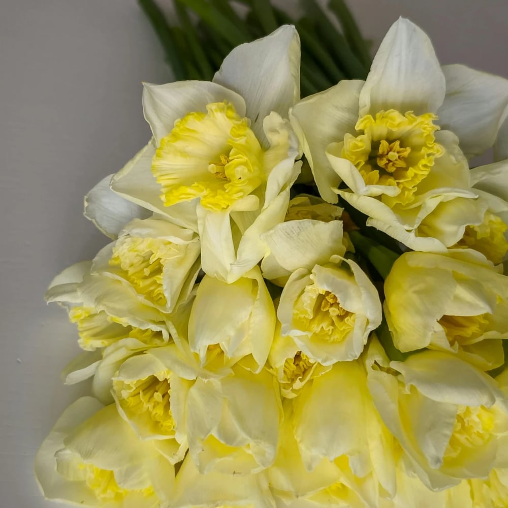 Daffodils bouquet delivery