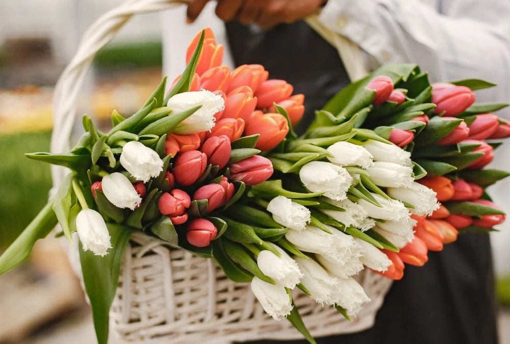 Fresh flowers Virginia delivery