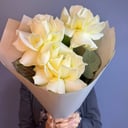 Букет из белых французских роз 3 штуки