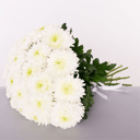 Букет из 21 хризантемы