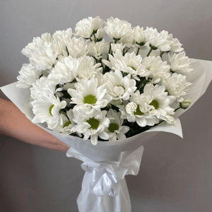 Моно букет из 5 хризантем